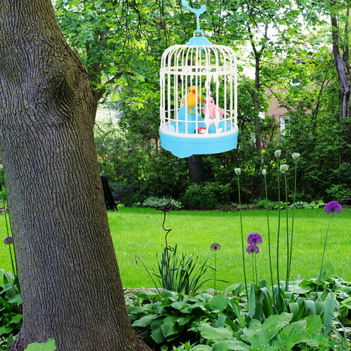 Pájaro De Inducción Activado Por Birdcage Bird