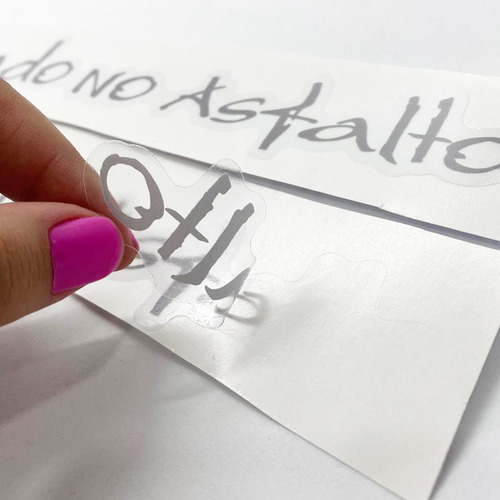 Par De Adesivos Troller 2005 Nascido Na Trilha Prata Lateral