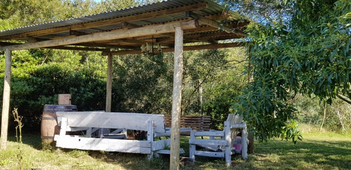 Imagen 3 de 25 de Alquiler Punta Rubia Rocha - Casa Almalú