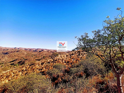Imagen 12 de 30 de Venta. 67 Hectareas En Candonga, Cordoba. Con 2 Km De Costa De Rio. Titulos Perfectos