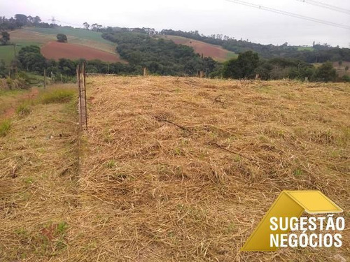 Imagem 1 de 15 de Terreno Vendo No Loteamento Tavares 250 M2 - 3132