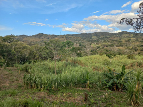 Venta De Hermoso Lote En Villeta Vereda Cune