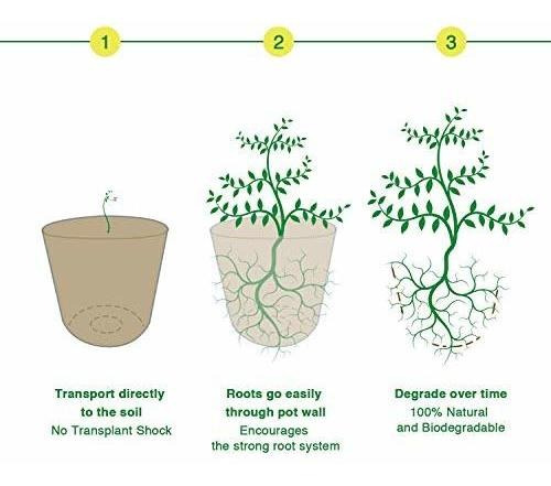 Imagen 7 de 9 de M-aimee Plant Starter Turba Macetas, Macetas Biodegradables
