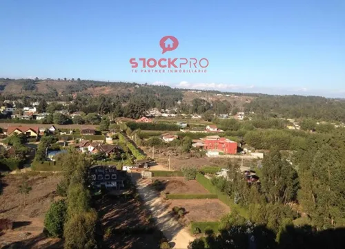 Lindo Y Soleado, 2d Amplios Tipo Mariposa, Mirasol Algarrobo