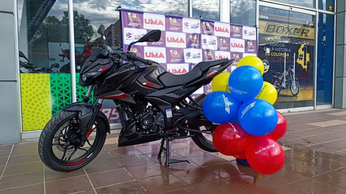 Imagen 6 de 15 de Pulsar N 250