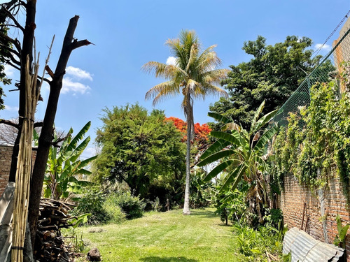 ¡oportunidad Gran Terreno En Yautepec, Morelos!
