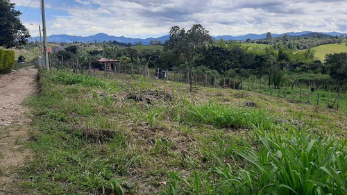 Imagen 14 de 15 de Venta Lote Esquinero -620 Mts2 - Julumito Popayan