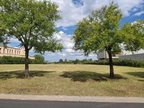Imagen 5 de 7 de Terreno En Venta Ubicado En La Isla, Nordelta