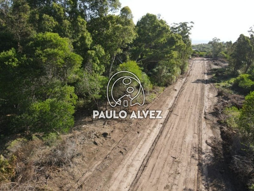 Imagen 5 de 10 de Terrenos Venta Playa Verde