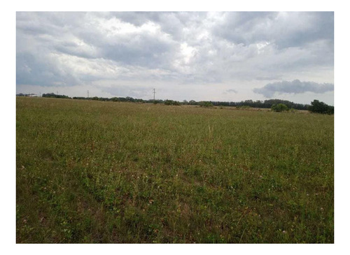 Imagen 8 de 12 de Campo En Venta - 14 Hectáreas - General Mansilla