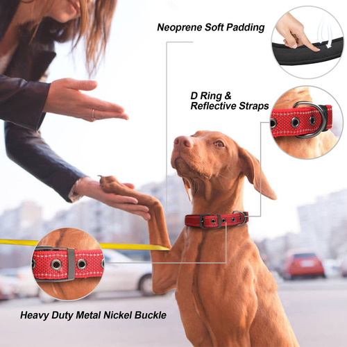 Collar Petifine Ajustable Resistente Para Perros Grandes