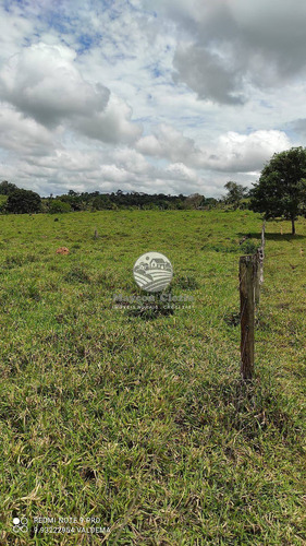 Imagem 17 de 21 de Venda Sítio Ariquemes Em Rondônia - Siv110