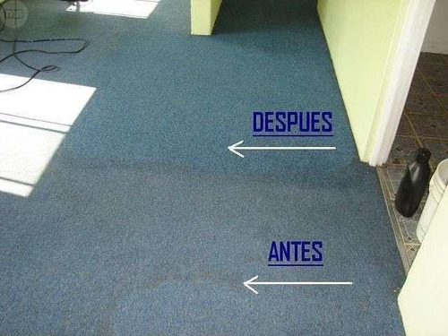 Imagen 5 de 10 de Limpieza De Alfombras Y Moquette Moquetas Carpetas Empresas