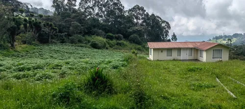Finca Agricola Y Descanso