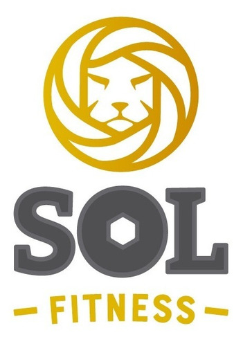 Cinturon De Sobreesfuerzo Profesional Reforzado