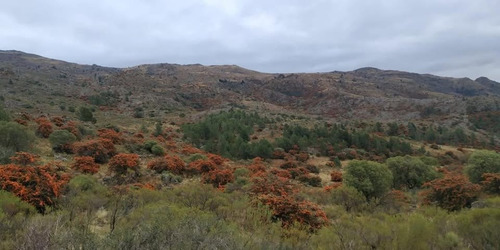 1 Hectárea De Campo Con Arroyo De Agua Dulce Que Atraviesa El Lote