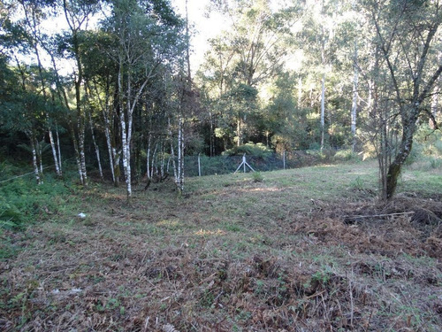 Imagem 13 de 15 de Terreno À Venda, 463 M² Por R$ 446.800,00 - Vivendas Do Arvoredo - Gramado/rs - Te0093