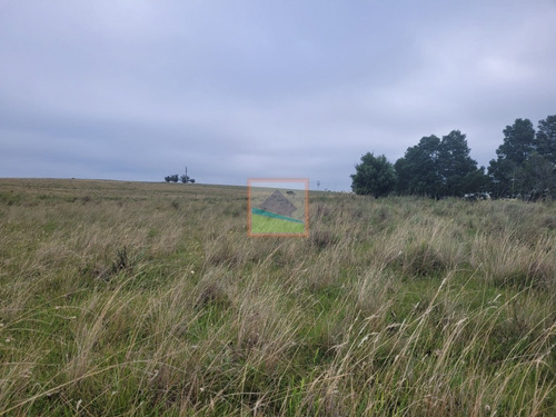 Imagen 15 de 30 de Campo 109 Hectáreas Garzón/rocha