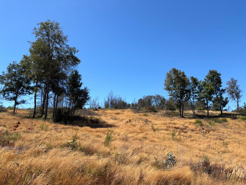 Terreno 5000 M2 Rinco 2 Comuna De Tome