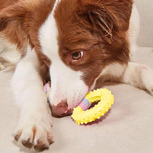 Juguete de cuerda con forma de aro para la dentición de un perro amarillo