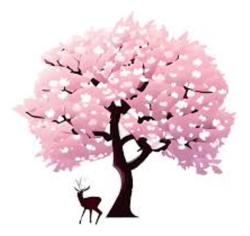 Cerezo Sakura Japonés - Muy Lindos - Calidad. Hab. X Senasa