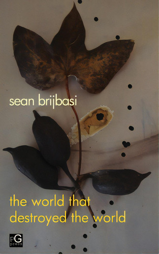 The World That Destroyed The World: A Poem, De Brijbasi, Sean Adrian. Editorial Pretend Genius Pr, Tapa Blanda En Inglés