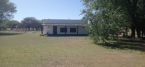 Imagen 3 de 15 de Terreno Campo En Venta Ubicado En La Maruja, Rancul