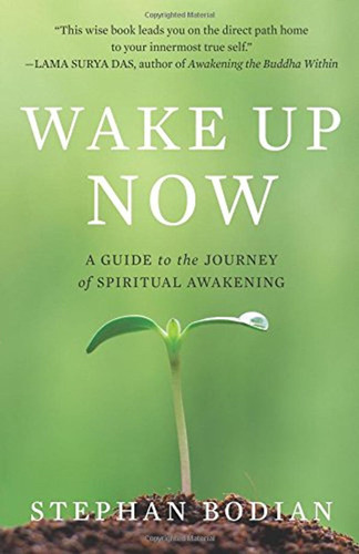 Wake Up Now,a Guide To The Journey Of Spiritual Awakening (e