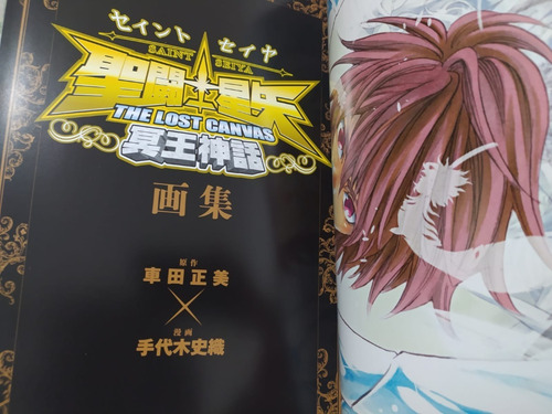 Saint Seiya Lost Canvas Artbook Japones (Usado)