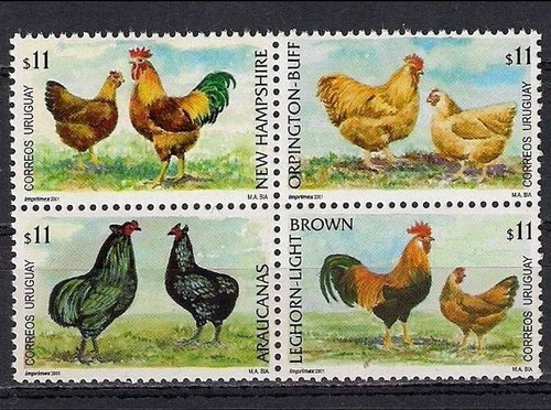 Fauna Doméstica - Gallinas - Uruguay - Serie Mint