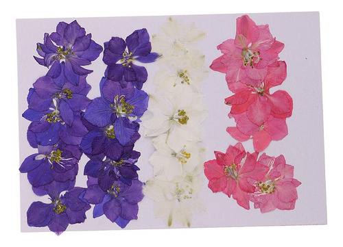 L 2 X 20 Pieces Natural Dried Flowers Delphinium Decoration