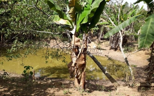 Chácara Na Zona Norte De São José Dos Campos