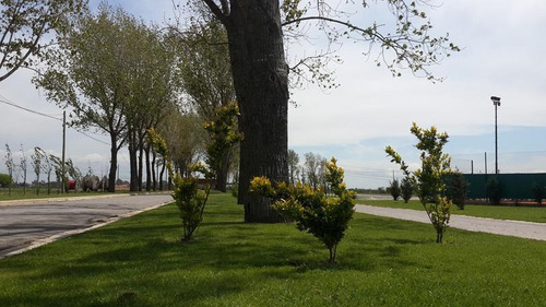 Imagen 3 de 8 de Terreno - La Alameda