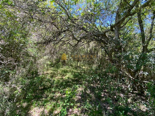 Campo Con Casa, Tajamar Monte Natural Muy Cerca De Aigua Consulte.- Ref: 1552