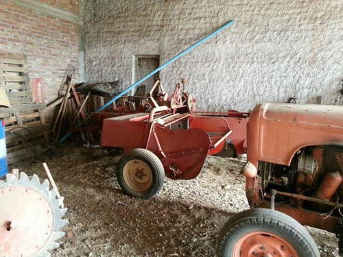 Imagen 25 de 30 de Finca De 62 Ha - General Alvear- Mendoza