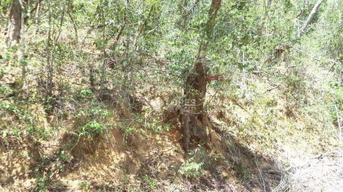Imagem 2 de 4 de Terreno À Venda, 494 M² Por R$ 130.000,00 - Engenho Do Mato - Niterói/rj - Te3792