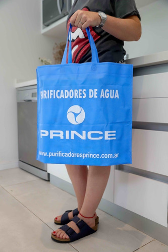 Imagen 2 de 4 de Repuesto Purificador Prince Plata