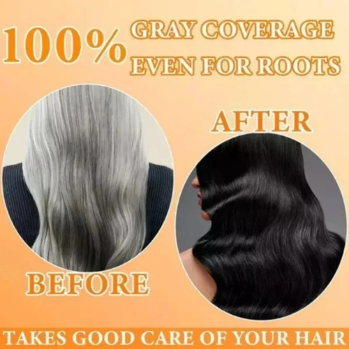Champú Para Teñir El Cabello 3 En 1 Botella A1