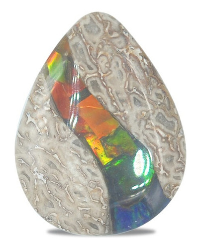 Hueso De Dinosaurio Fósil Cabujón Pera Con Ammolita 15x20mm