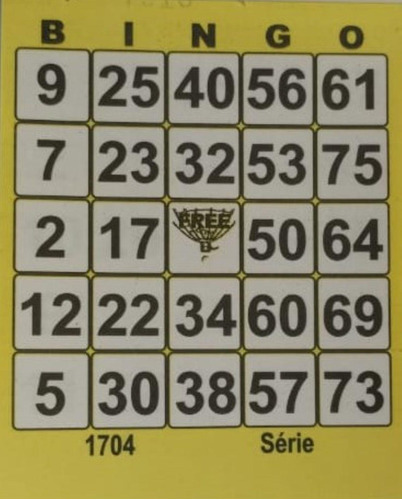 Cartela Bingo 3 Blocos 100 Folhas Total 300 Fls. 8 X 10cm