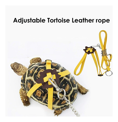 Conjunto De Cuerda Y Patineta Para Tor Tuga , Tortoise Rope