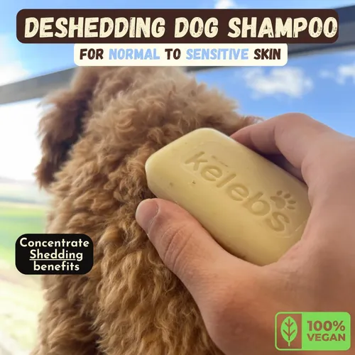 Reduccion De Pelo Suelto En Perros Con Aceite De Coco Y Mant