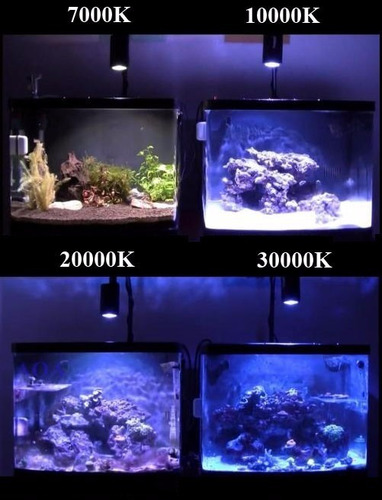 Pack 4 Led 10w Alta Potencia 7000 10000 20000 30000 K -$10