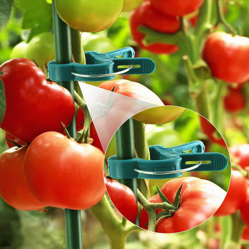 50 Piezas Clips Para Plantas Plantas Trepadoras Golondrina L