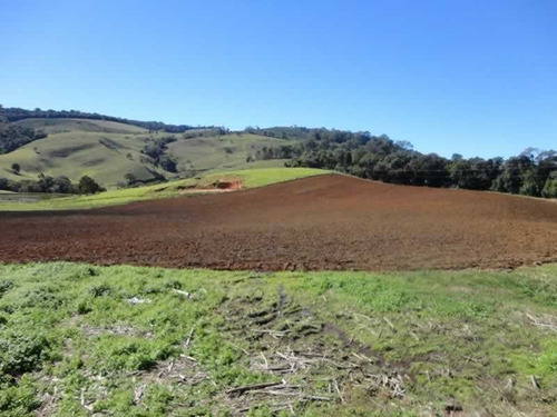 Imagem 14 de 26 de Fazenda Com 110 Alqueires Em Poços De Caldas/mg - 7707