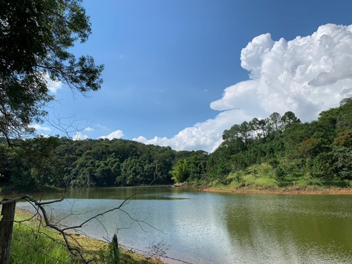 Imagem 7 de 12 de Nj- Terreno Proximo A Represa