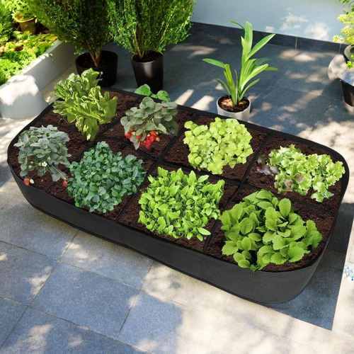 Camera De Jardín Elevada Planta De Para Vegetales,