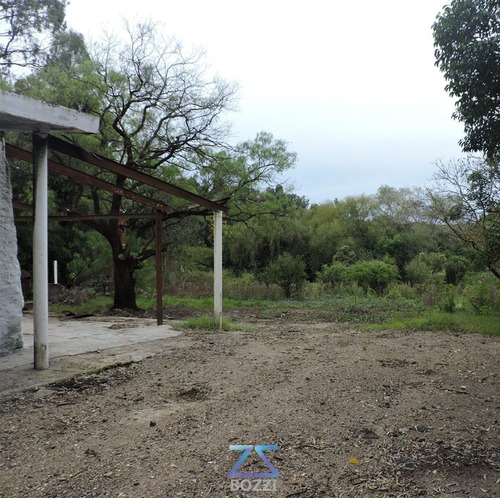 Imagen 6 de 8 de Venta O Alquiler De Terreno Con Edificación