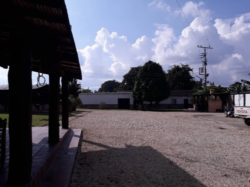 Imagen 18 de 30 de Finca En Bejuma Reyes Arriba