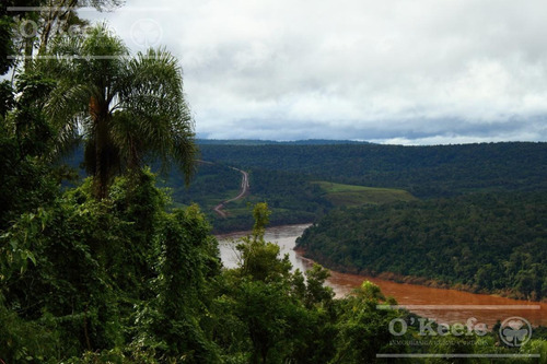 Imagen 7 de 30 de Grandes Extensiones De Bosque Nativo En Misiones - Bonos Verdes- Ideal Conservacionistas